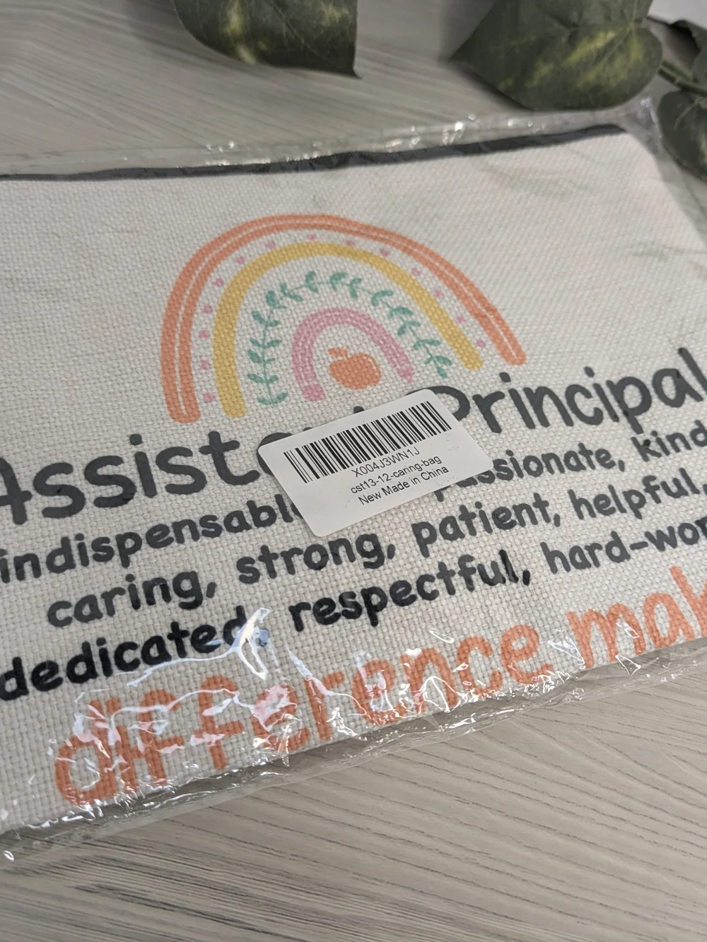Assistant Principal Make Up Cosmetic Canvas Bag